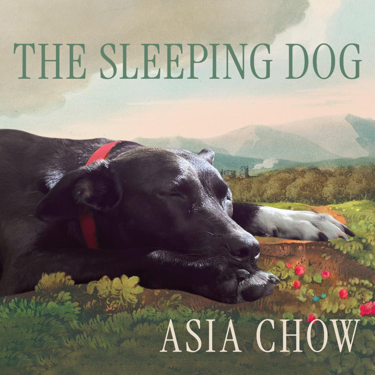 Asia Chow Releases New Single, “The Sleeping Dog”